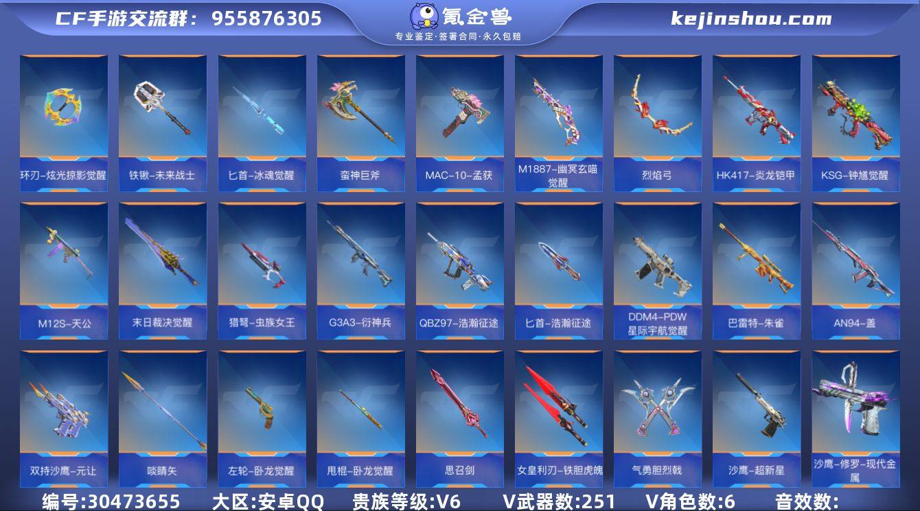 TZ2843【V6 253V 270金V ...