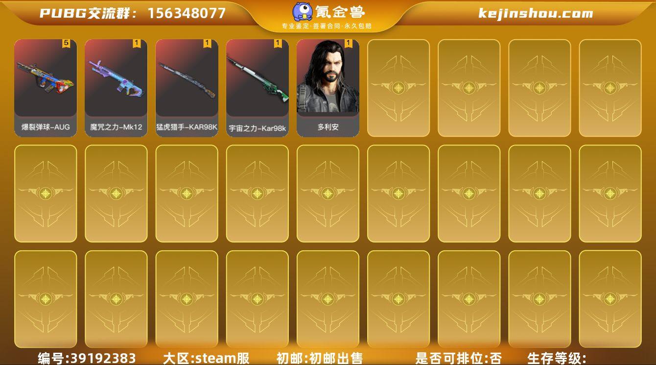 5级爆裂弹球-AUG，1级猛虎猎手-KAR...