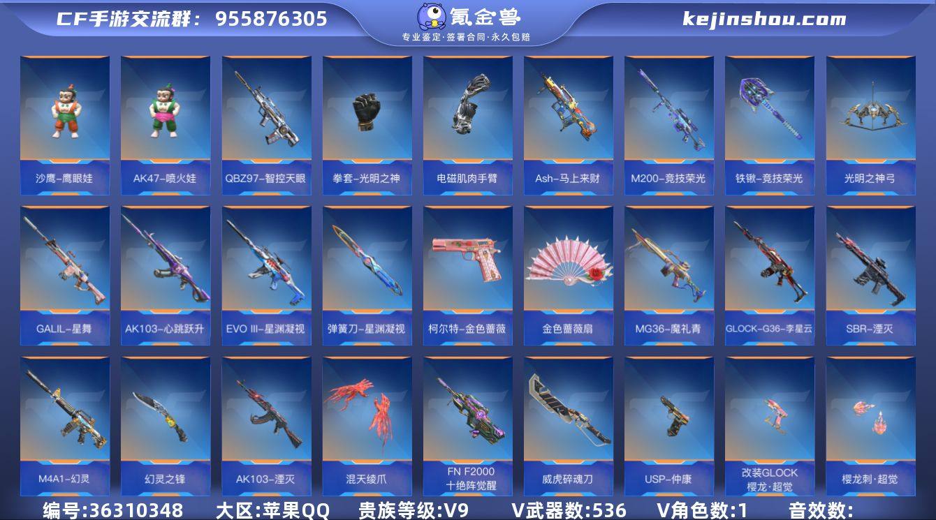 实名: 可修改 贵族等级: V9 v武器:...
