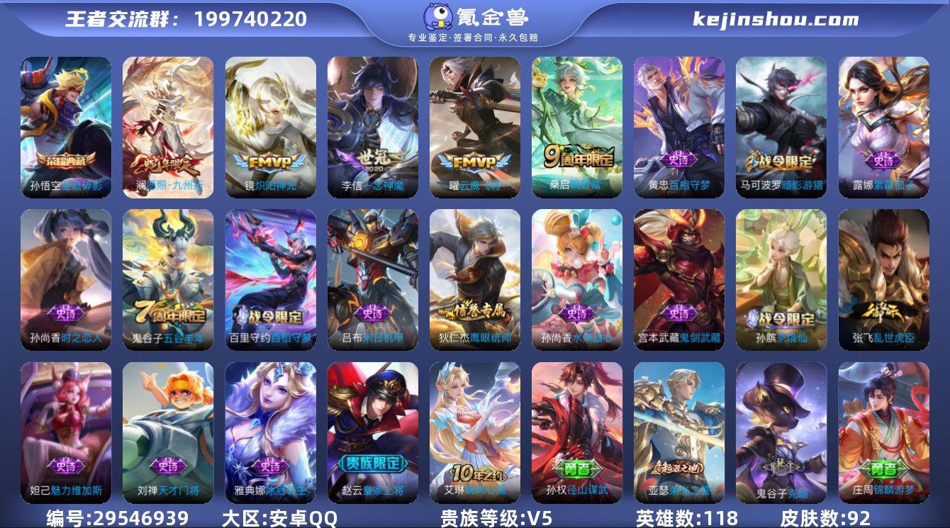 【WZX6087】贵族5/皮肤91/典藏1...