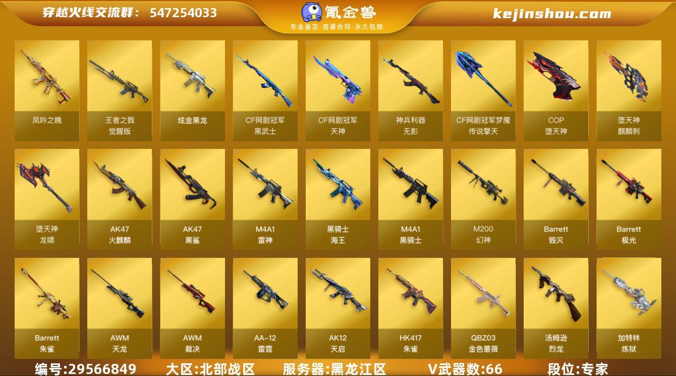 黑龙江区-68V-3王者-1炫金
【热门武...