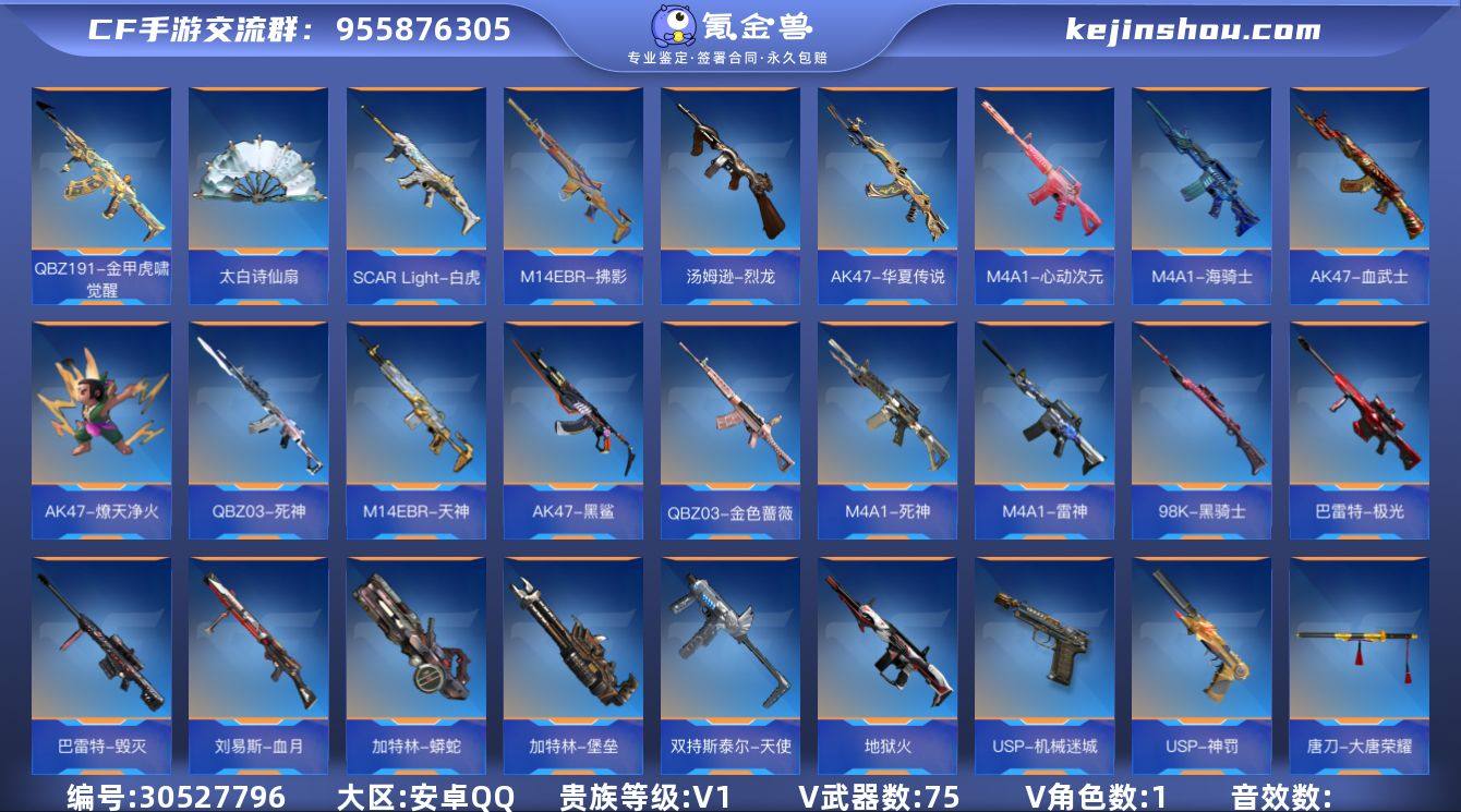 【QZSA751】VIP1/75V/2王者...