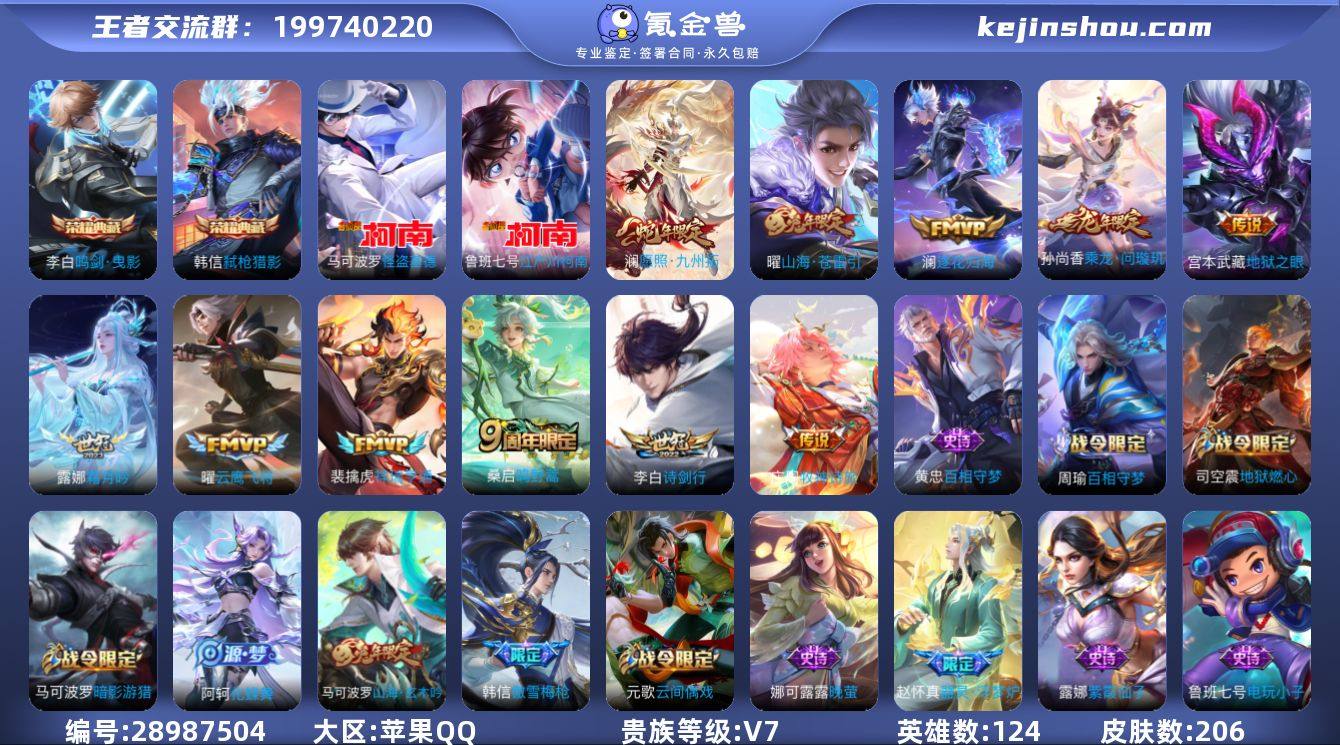 苹果QQ/荣耀王者/206皮肤/124英雄...