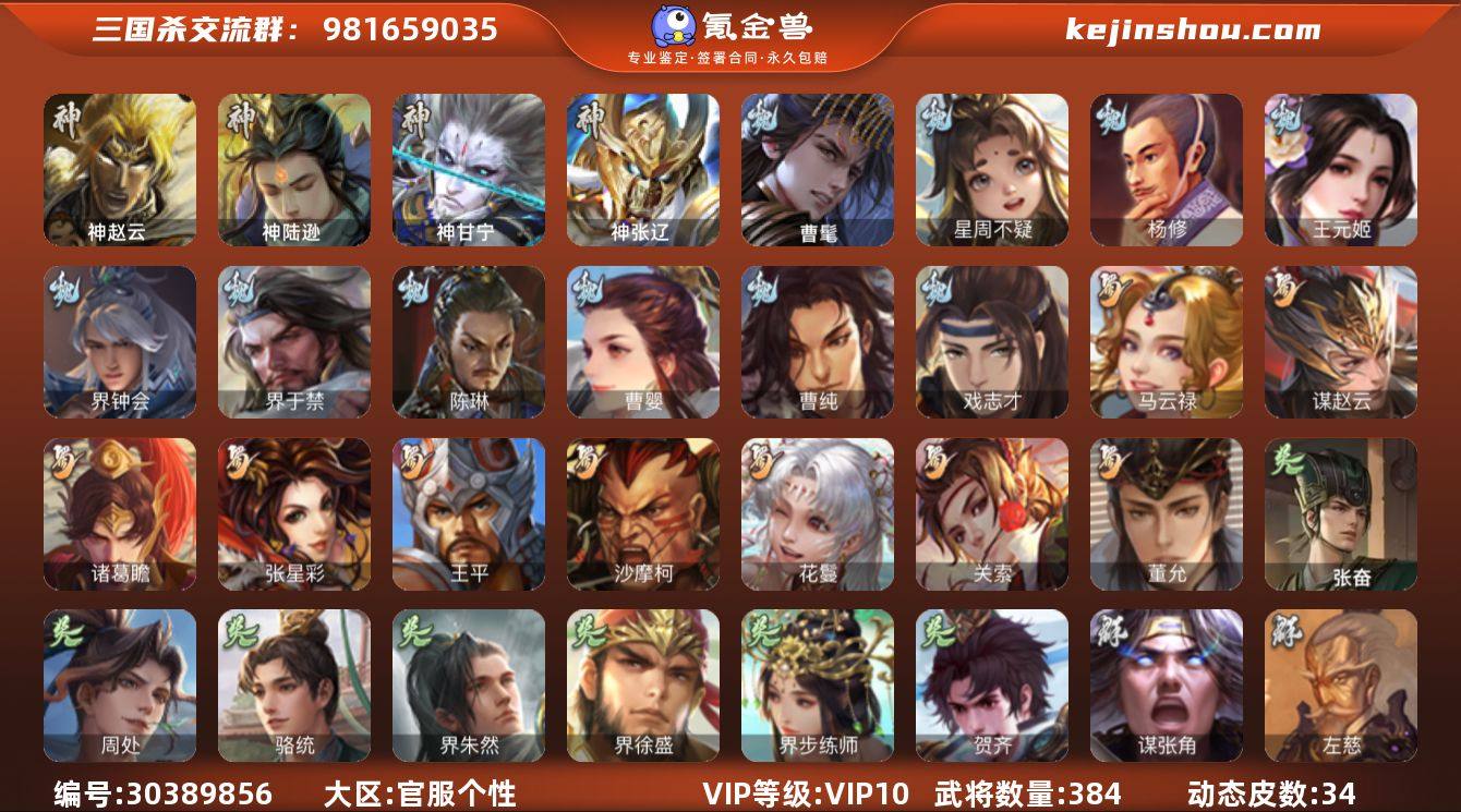 官阶:大将军；VIP等级:VIP10；史诗...