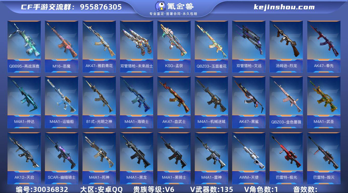 【QZ4381】VIP6/135V/王者之...