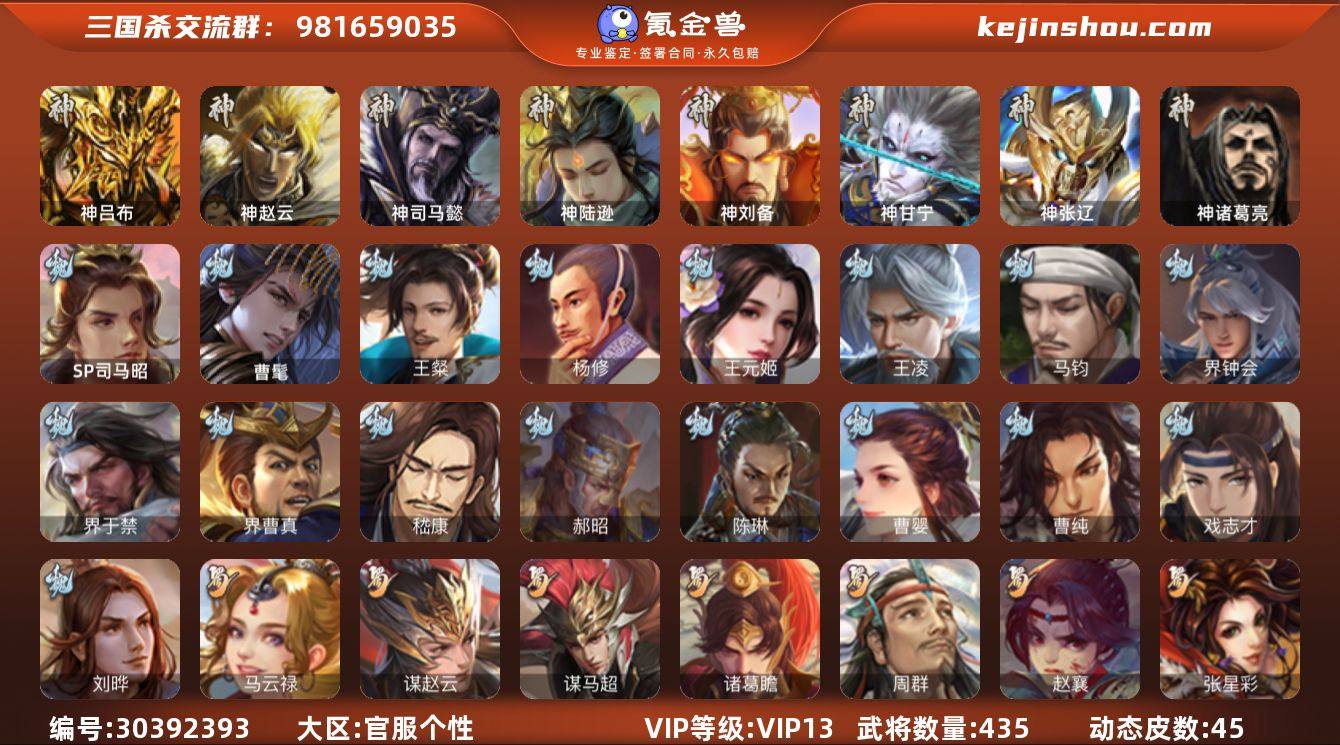 官阶:大将军；VIP等级:VIP13；史诗...