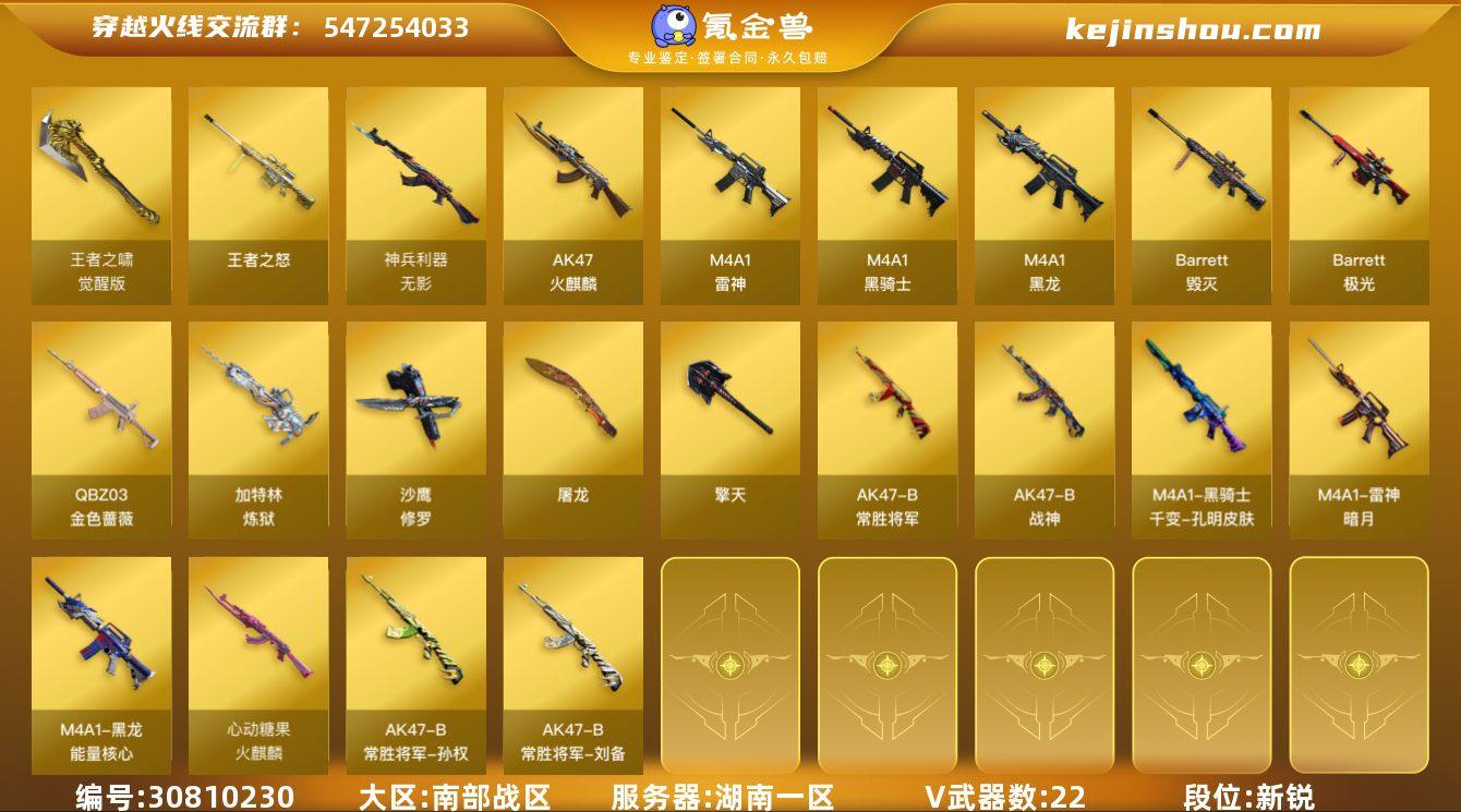 湖南一区-22V-3王者-0炫金
【热门武...