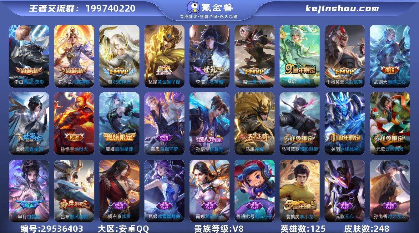 贵族8/皮肤248/典藏2/传说10/史诗...