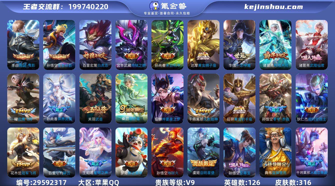 贵族9/皮肤316/典藏2/传说22/史诗...