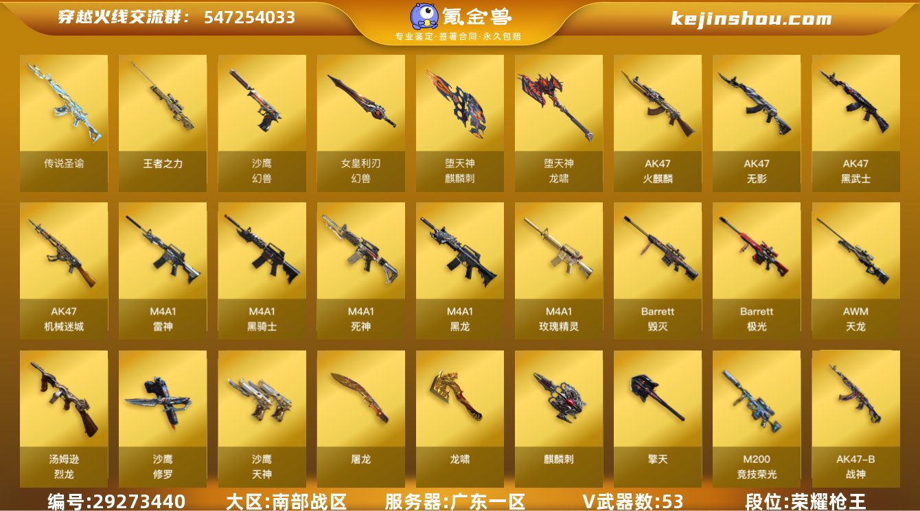 广东一区-54V-5王者-0炫金
【传说武...