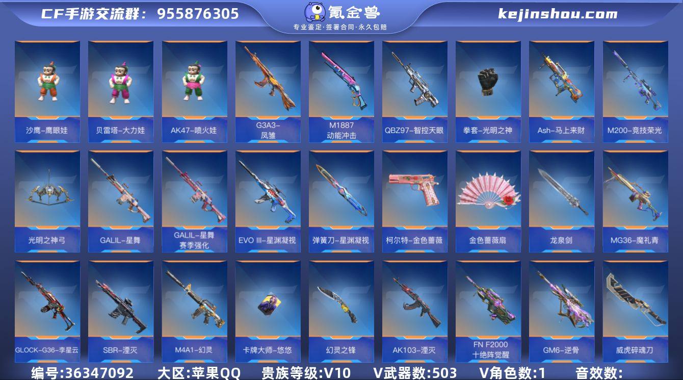 实名: 可修改 贵族等级: V10 v武器...