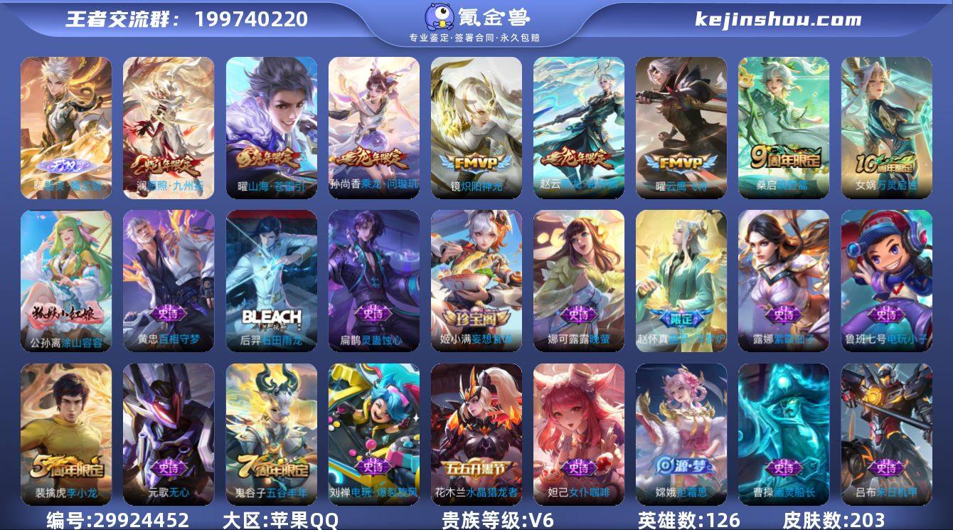 苹果QQ/非凡王者/203皮肤/126英雄...