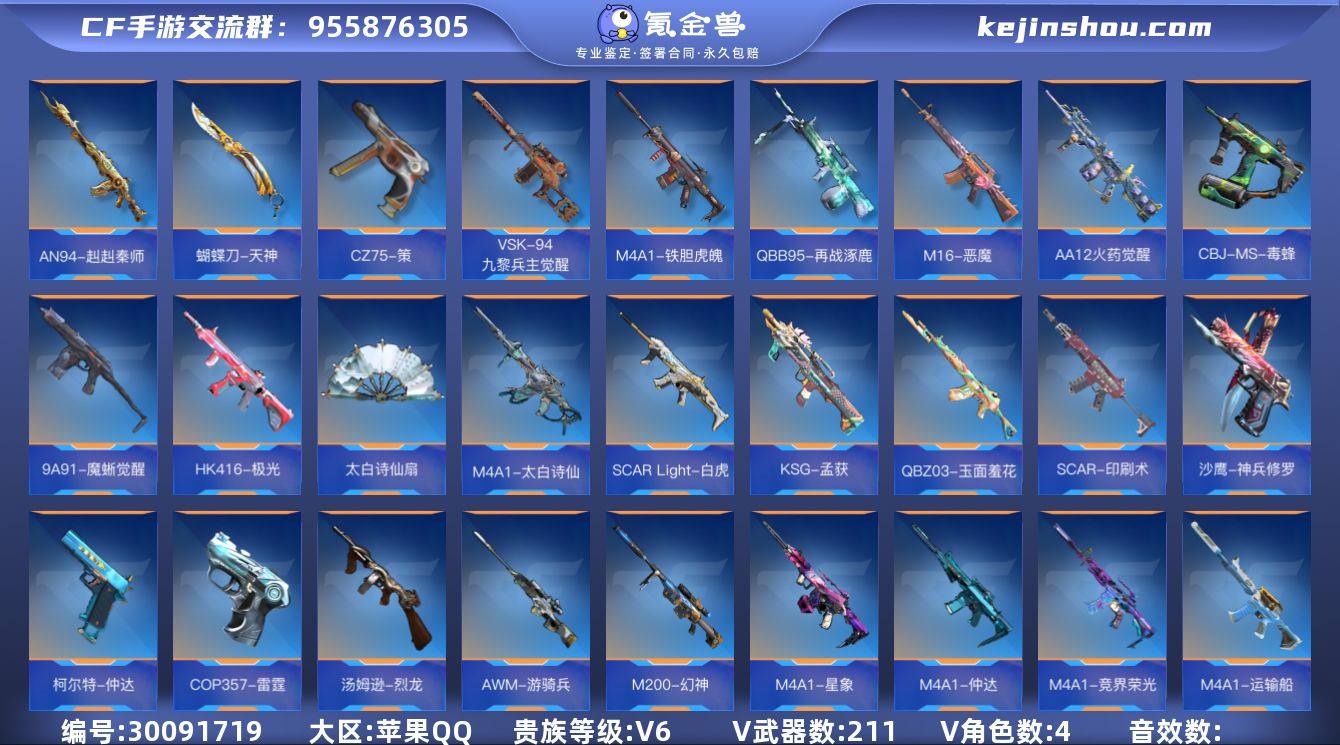 【CFMG866】VIP6/211V/6王...