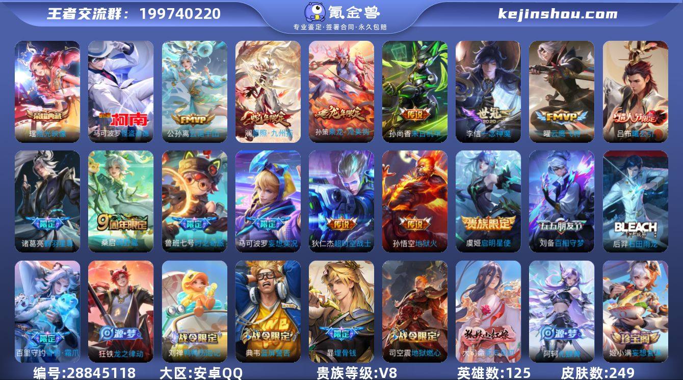 125英雄-249皮肤-安卓QQ/V8/永...