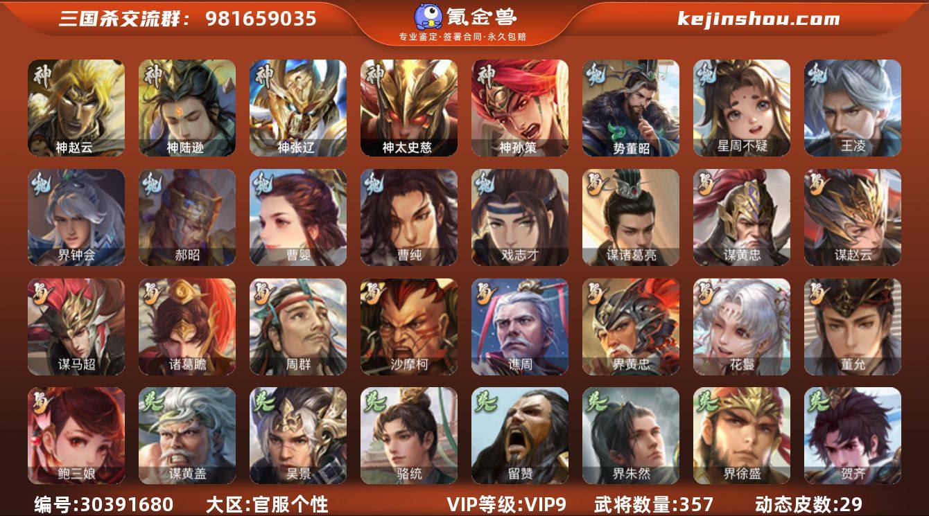 官阶:大将军;VIP等级:VIP9;史诗武...