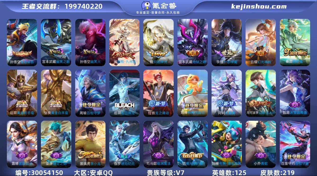 贵族7/皮肤219/典藏1/传说9/史诗5...