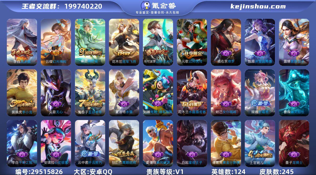 贵族1/皮肤245/传说4/史诗54/英雄...