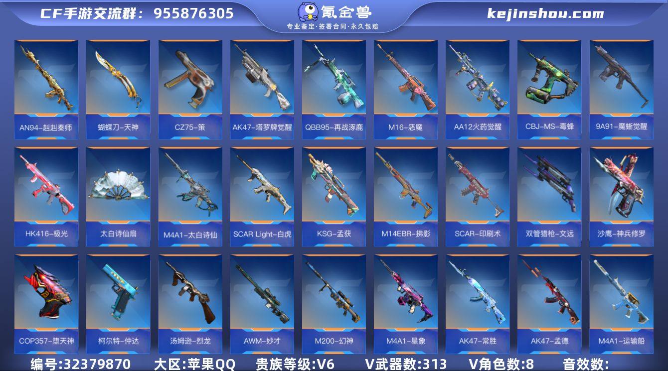 【QZZ2493】VIP6/313V/王者...