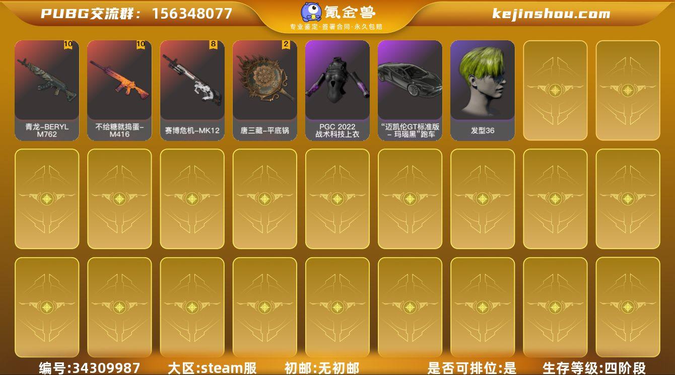 JDPZ11469	生存500级可排位/1...