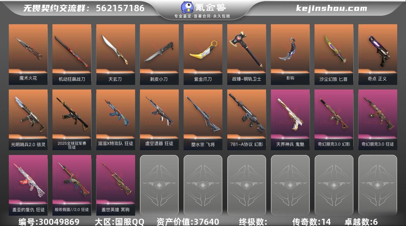 传奇数:14 卓越数:6 皮肤资产价值:3...