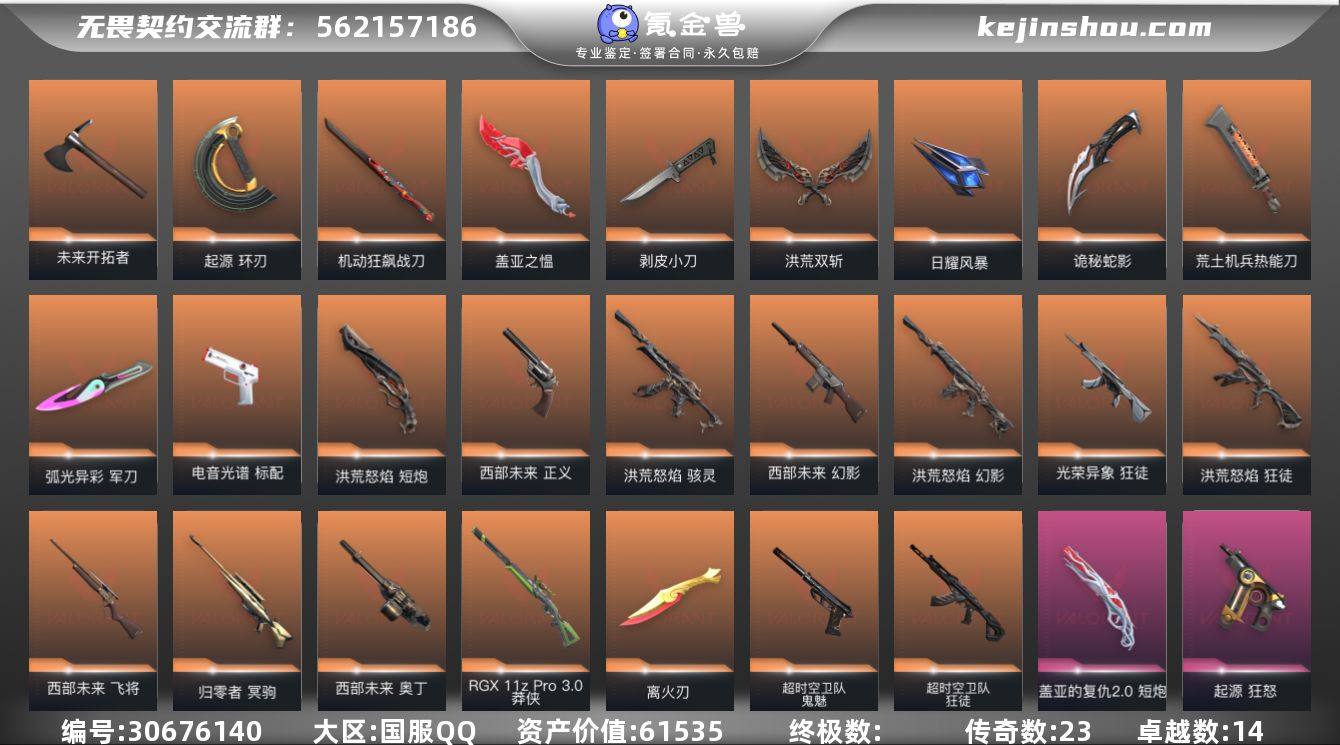 传奇数:23 卓越数:14 皮肤资产价值:...