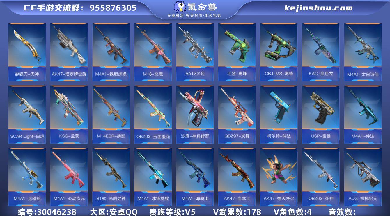 【QZX1991】VIP5/178V/王者...