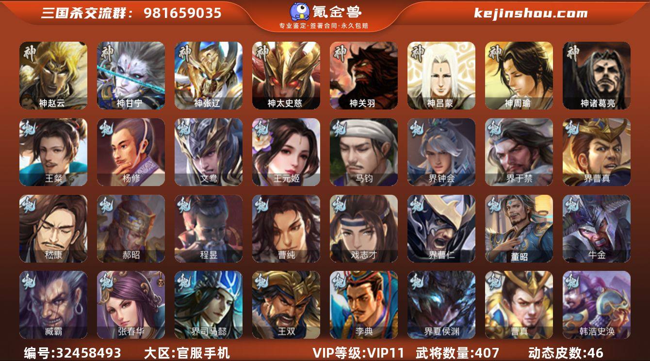 【4273】官阶:大将军；VIP等级:VI...