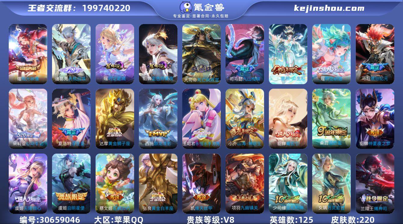 【WZ19065】贵族8/皮肤220/典藏...