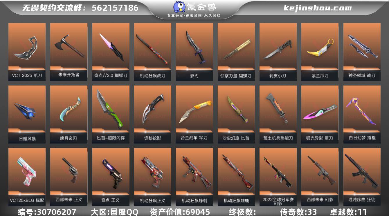 传奇数:33 卓越数:11 皮肤资产价值:...