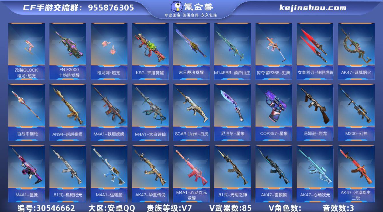 贵族等级:V7 王者武器数:2 v武器数:85