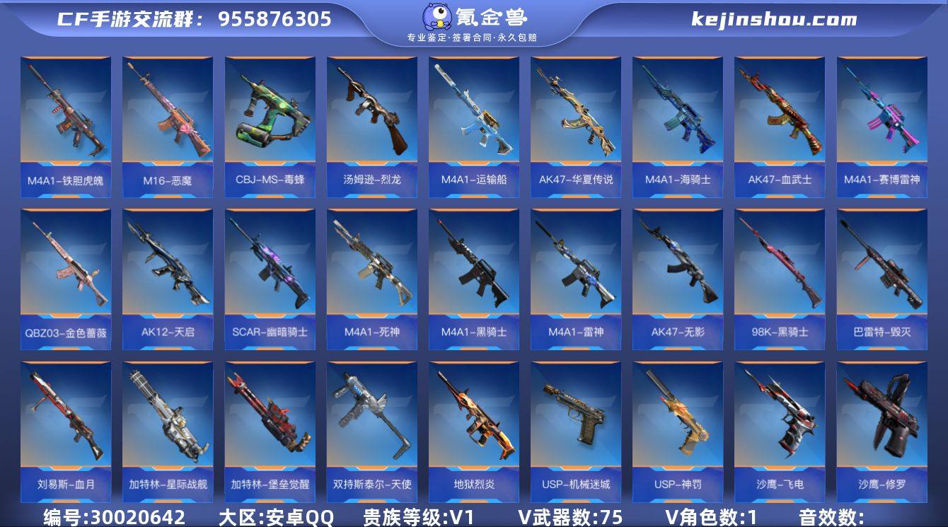 【QZYT59】VIP1/75V/王者之影...