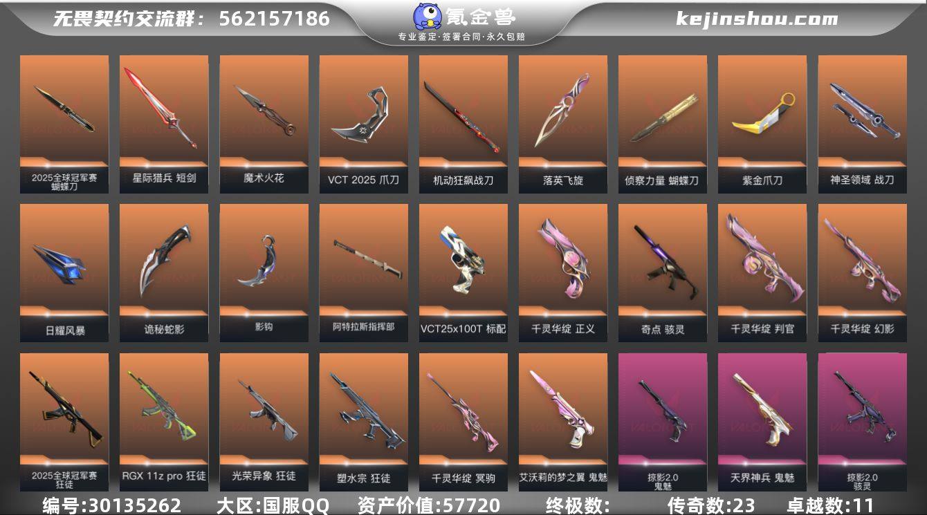 传奇数:23 卓越数:11 皮肤资产价值:...