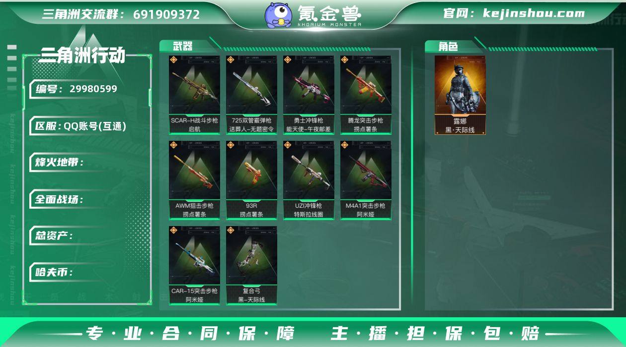 高资产,六套多/露娜-黑·天际线,蜂医-送...