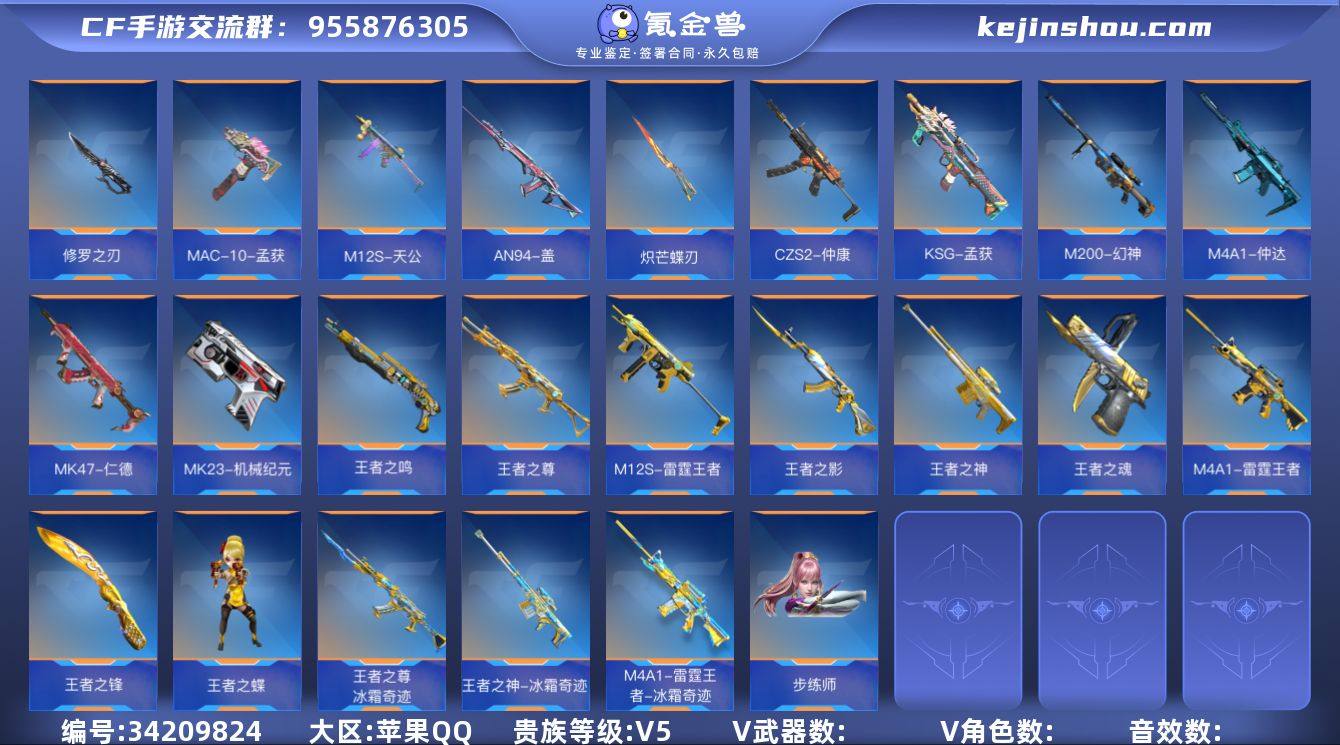 V5/苹果IOS/实名：可修改🔥10王者+...
