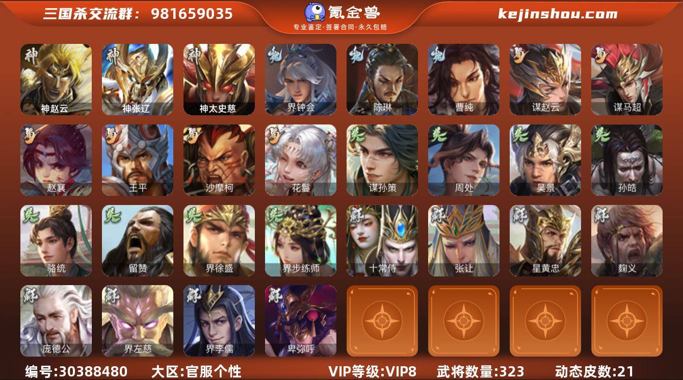 官阶:大将军；VIP等级:VIP8；史诗武...