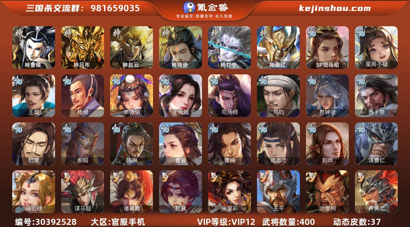 官阶:大将军；VIP等级:VIP12；史诗...