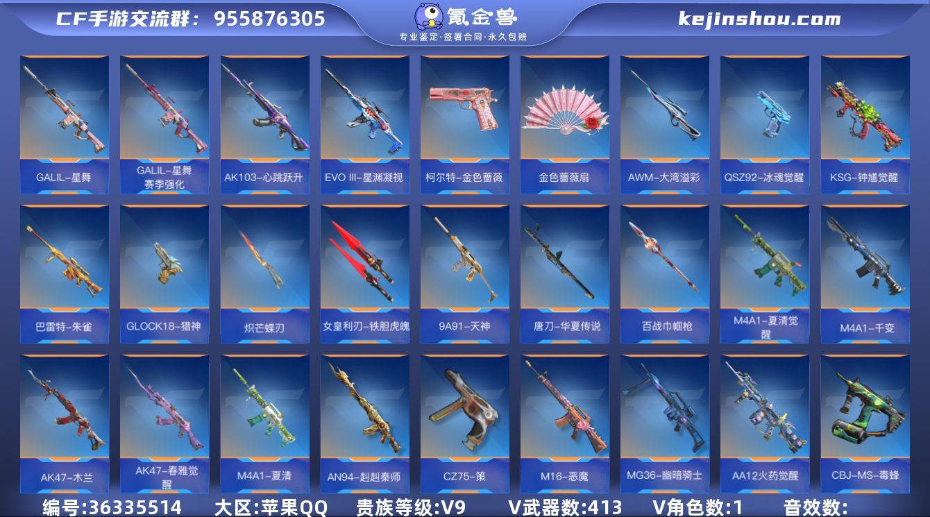 实名: 可修改 贵族等级: V9 v武器:...