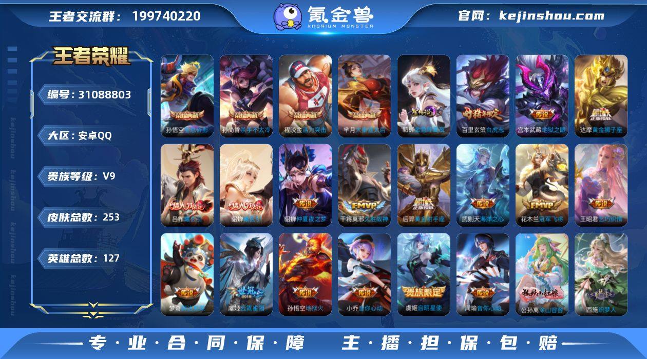 贵族9/皮肤253/典藏4/传说17/史诗...