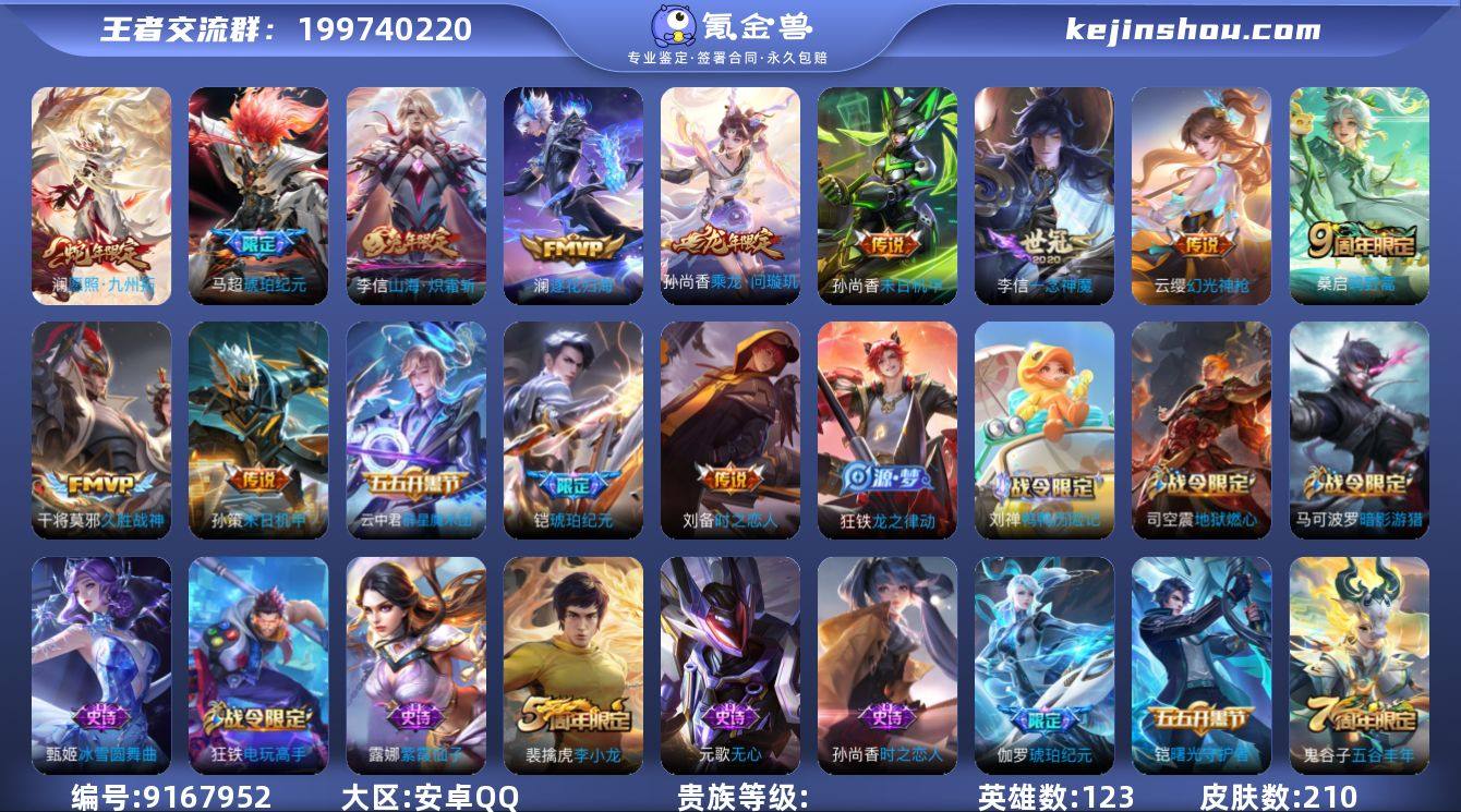 DYW12427【210皮肤V7-9传说】...