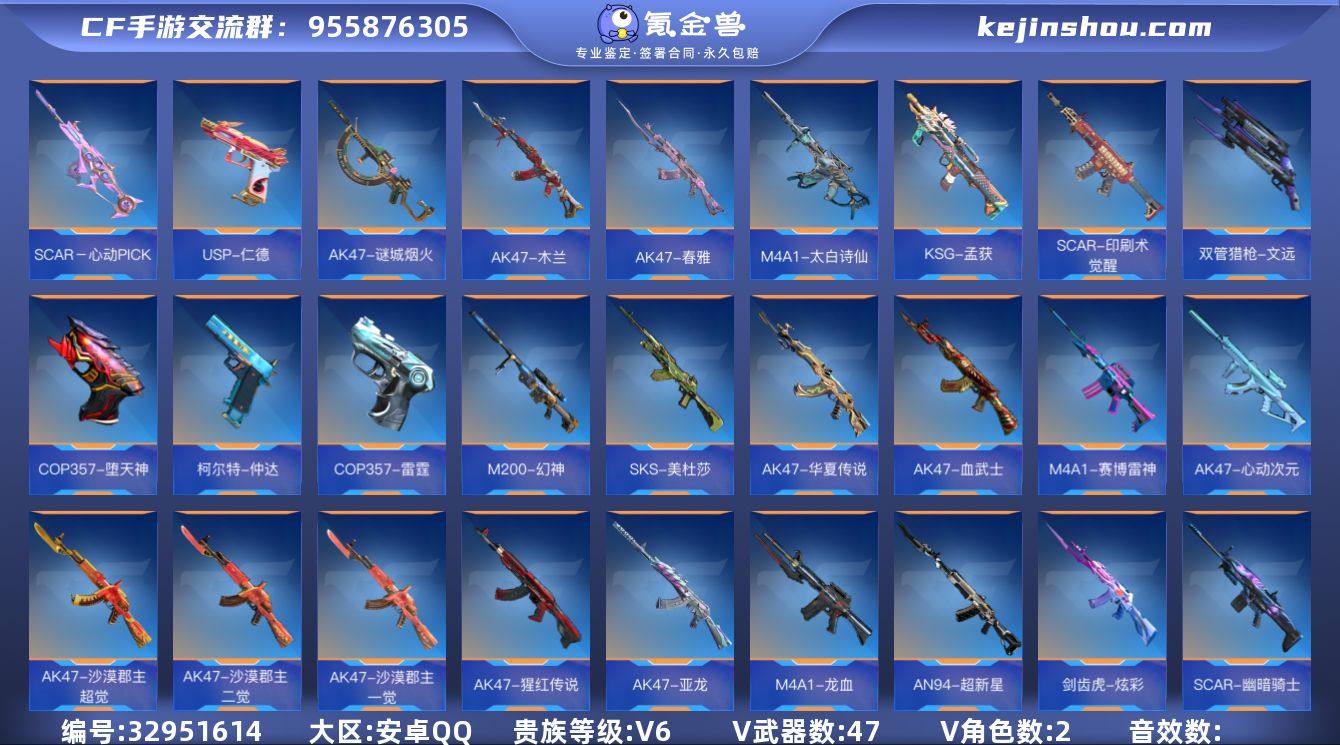 x1962 VIP6级，王心，王狱，王霆，...