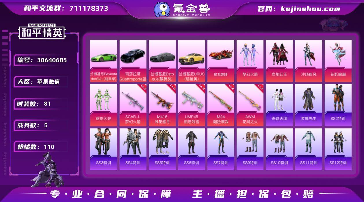 连体王者V9皮肤214  传说13   典...