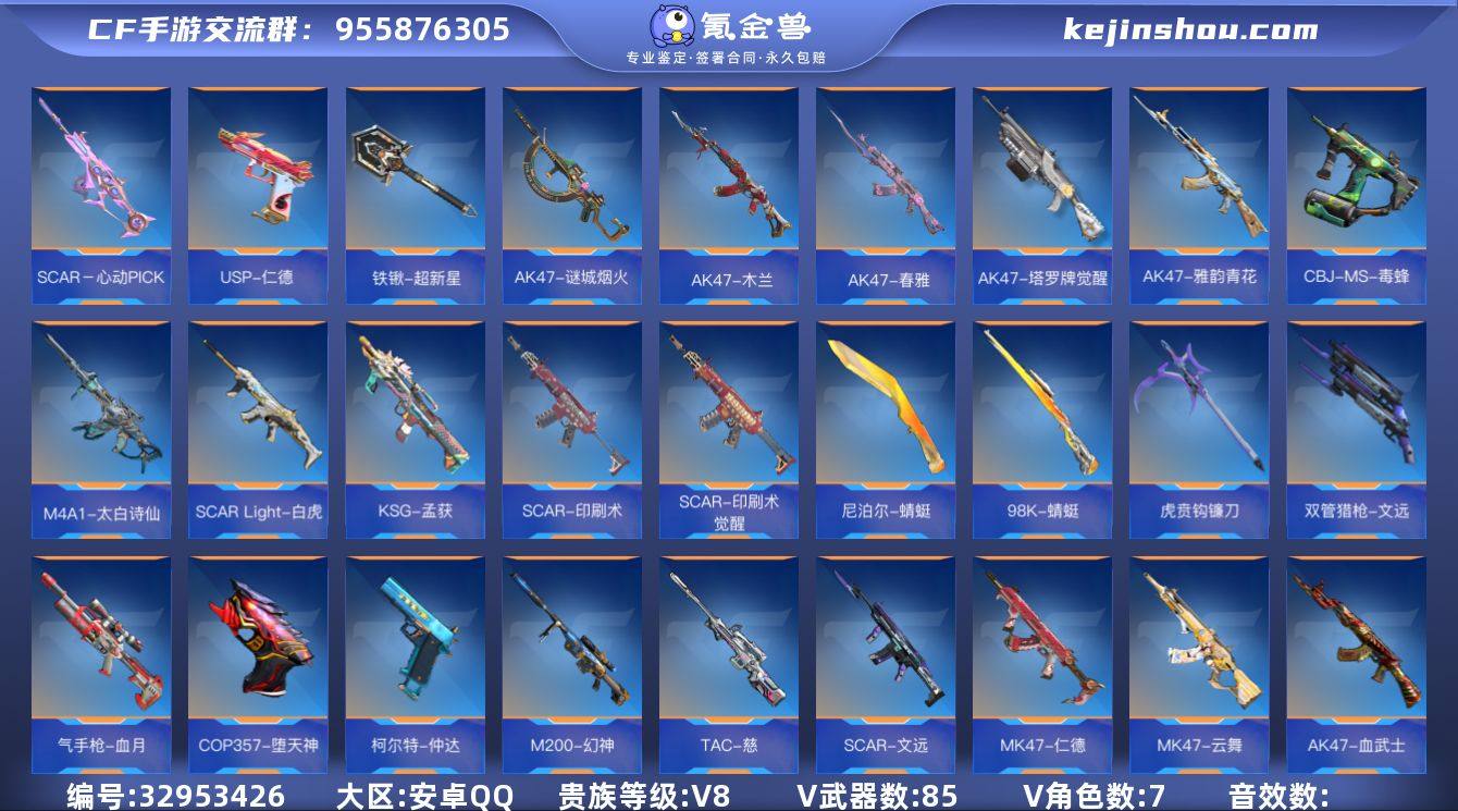 x1985 VIP8级，王心，女团王翼，王...