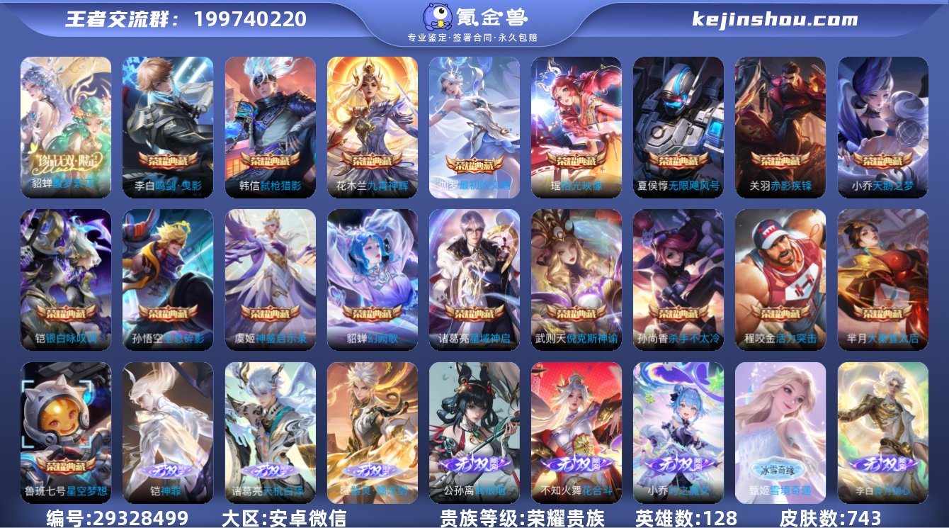 贵族等级:荣耀贵族 典藏皮肤数:18 珍品...