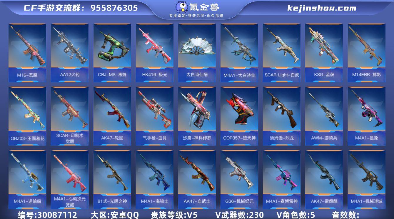 【CFMG877】VIP5/230V/双持...