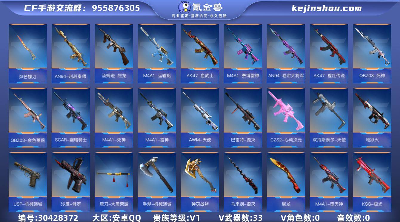 贵族等级:V1 王者武器数:0 v武器数:33