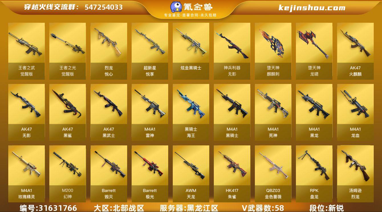 黑龙江区-63V-4王者武器数-1炫金武器...