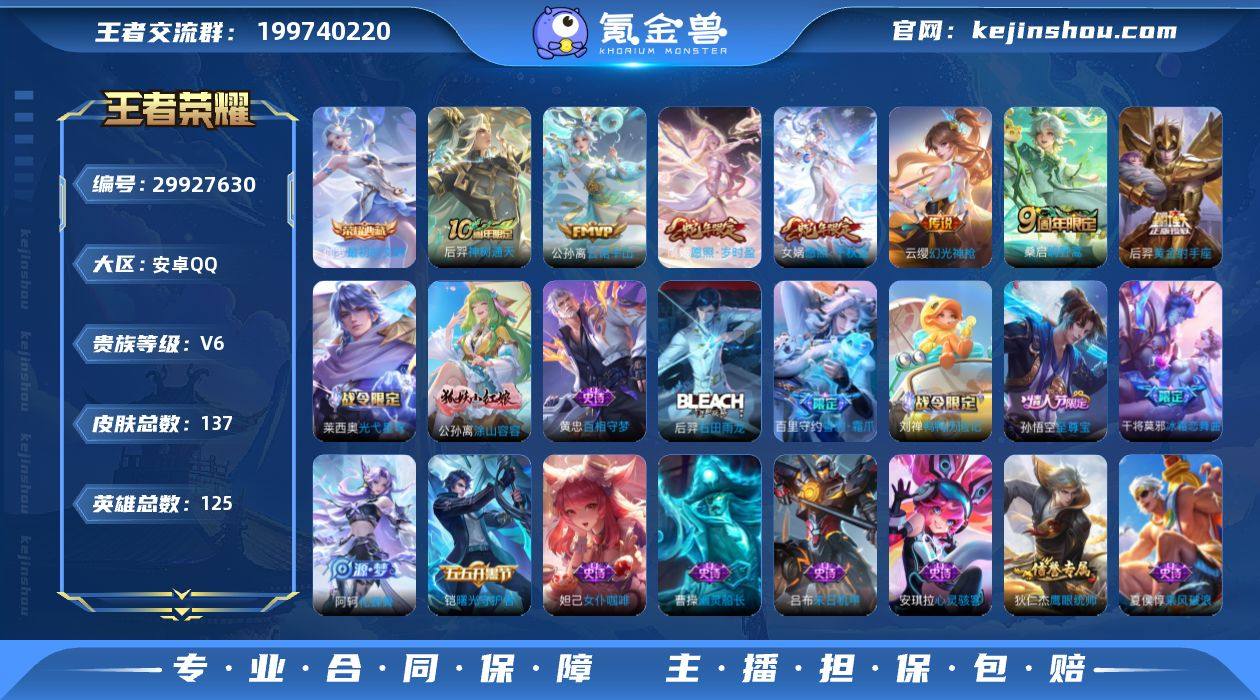 贵族6/皮肤137/典藏1/传说7/史诗3...