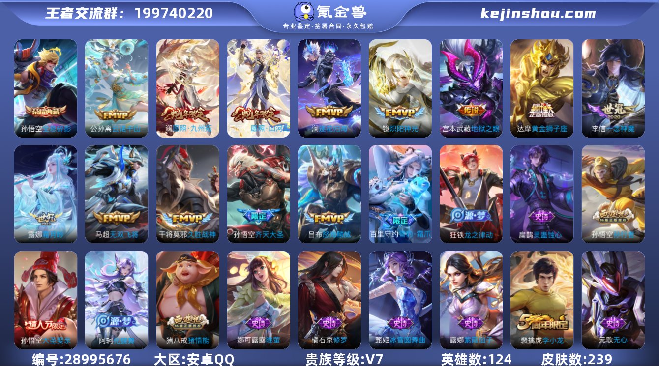 XSW897【239皮肤V7 1典藏13传...