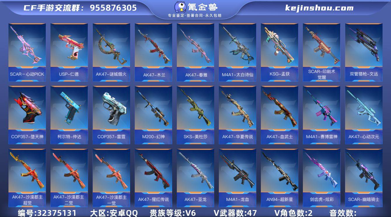 x1962 VIP6级，王心，王狱，王霆，...