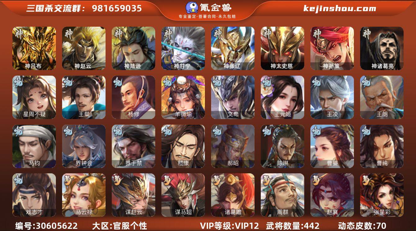 官阶:大将军；VIP等级:VIP12；史诗...